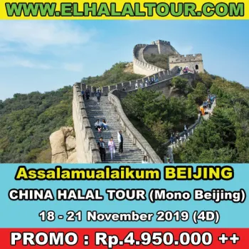 Tour Halal China 1821 November 2019 